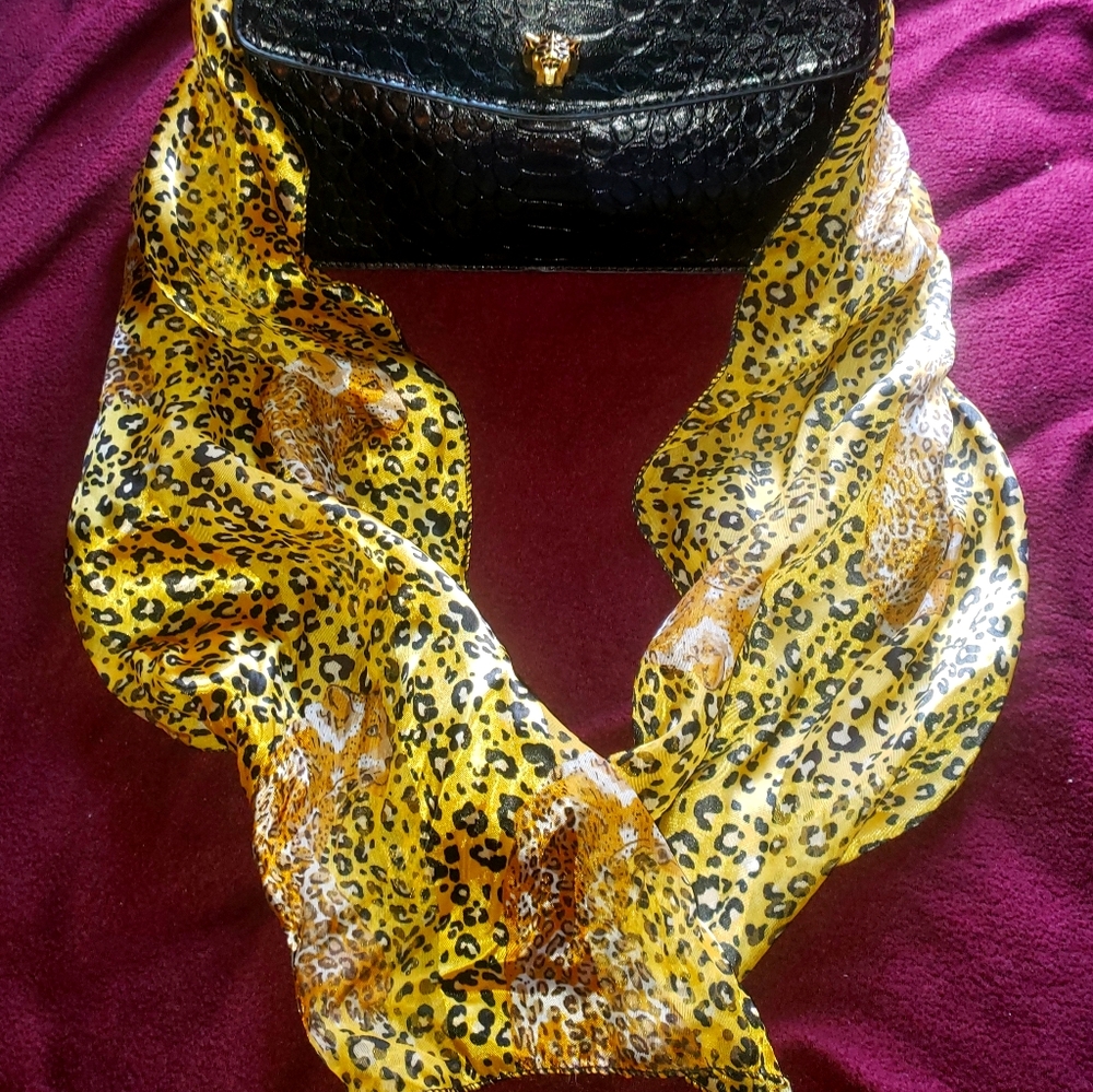 Black Evening Bag+ Scarf